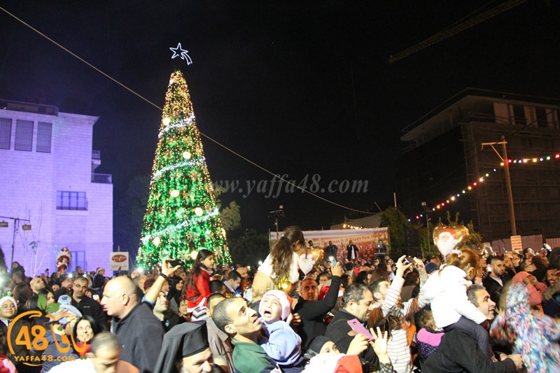 tree xrismass (13).JPG